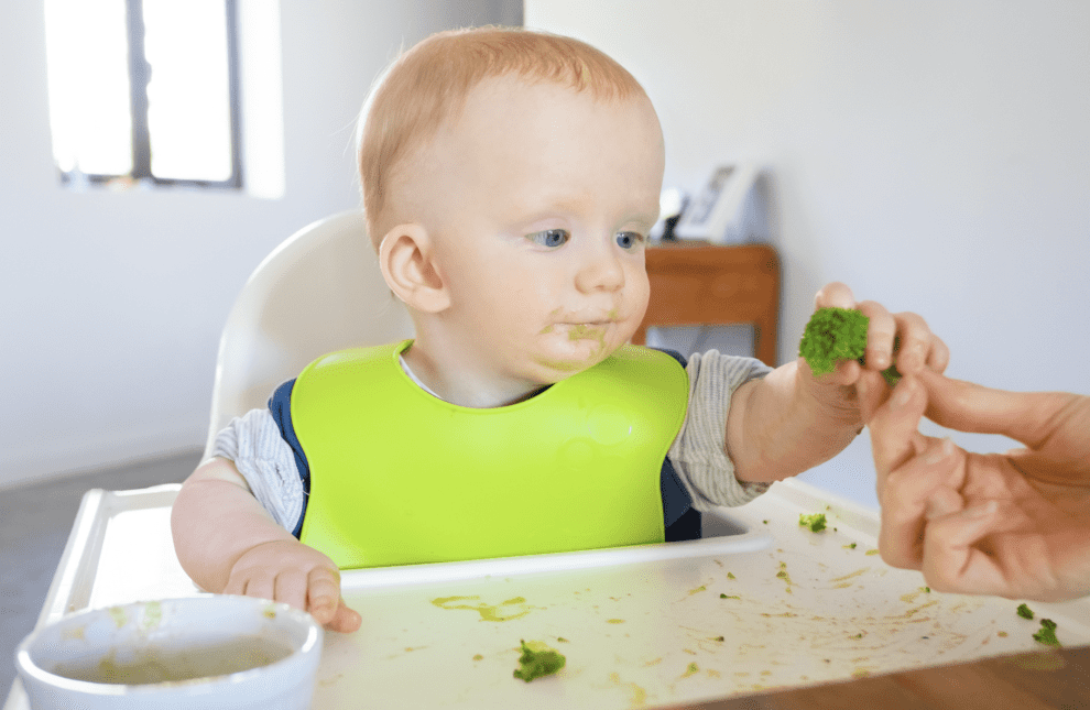 Introdução alimentar no bebé